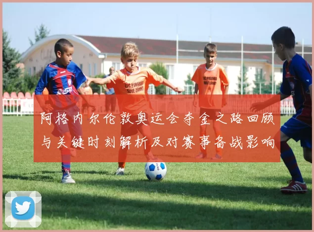 阿格内尔伦敦奥运会夺金之路回顾与关键时刻解析及对赛事备战影响