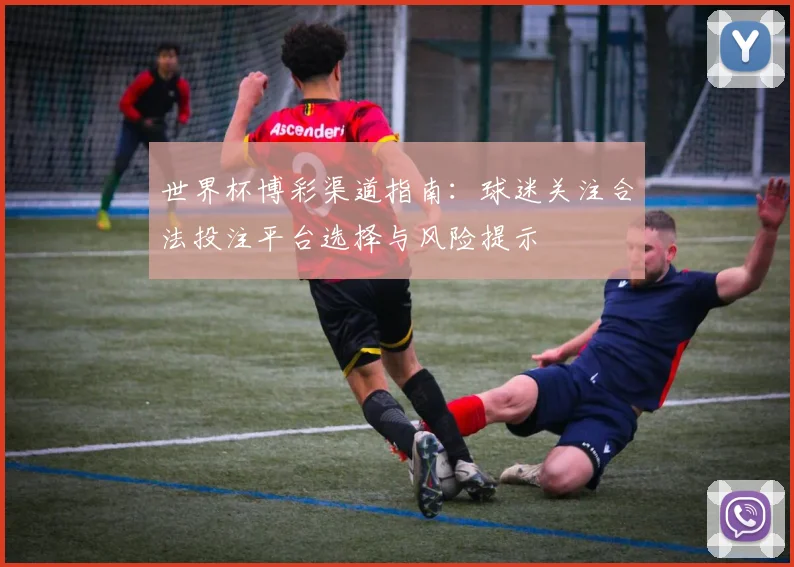 世界杯博彩渠道指南:球迷关注合法投注平台选择与风险提示