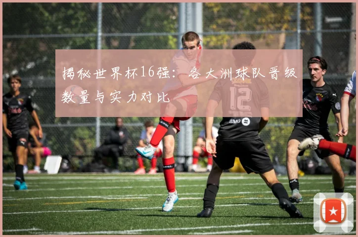 揭秘世界杯16强:各大洲球队晋级数量与实力对比