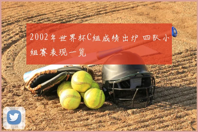 2002年世界杯C组成绩出炉 四队小组赛表现一览