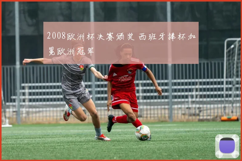 2008欧洲杯决赛颁奖 西班牙捧杯加冕欧洲冠军