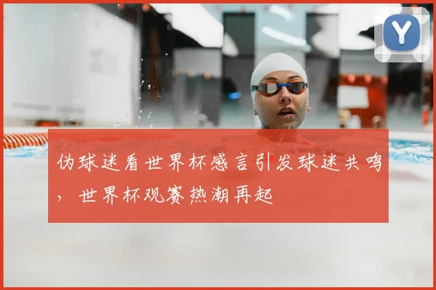 伪球迷看世界杯感言引发球迷共鸣，世界杯观赛热潮再起