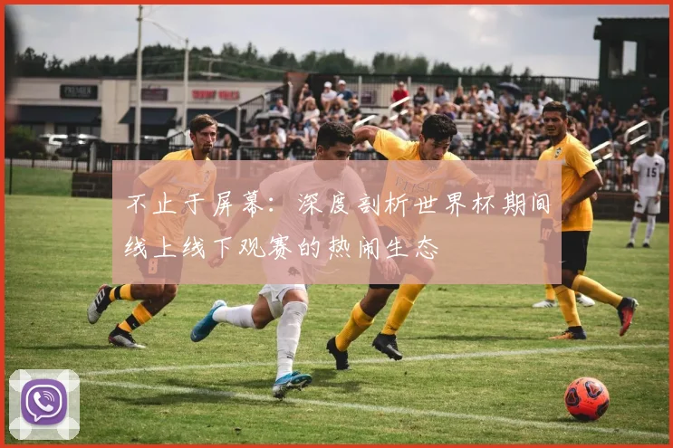 不止于屏幕：深度剖析世界杯期间线上线下观赛的热闹生态