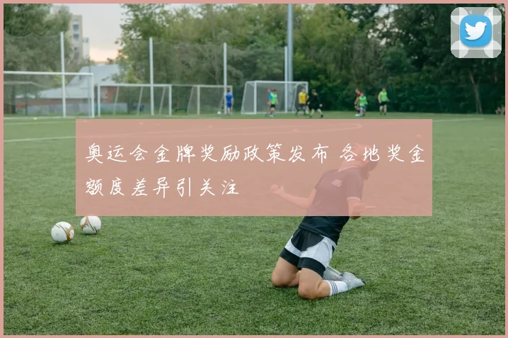 奥运会金牌奖励政策发布 各地奖金额度差异引关注