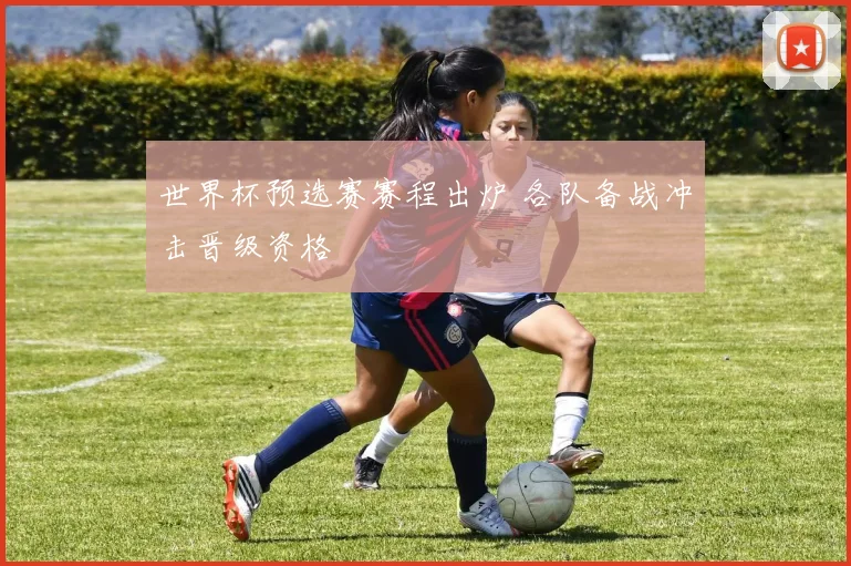 世界杯预选赛赛程出炉 各队备战冲击晋级资格